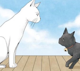 ​关于女孩成长的唯美句子（形容女人睡觉优美句子）