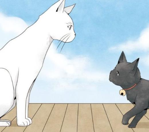 关于女孩成长的唯美句子