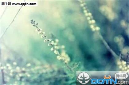 雨后天空唯美句子