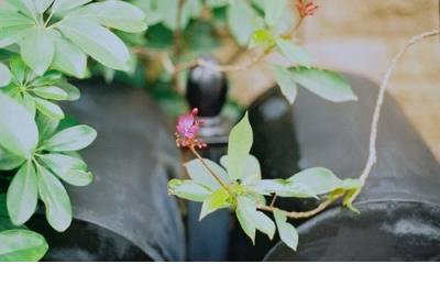 冬至给女朋友的关心短信