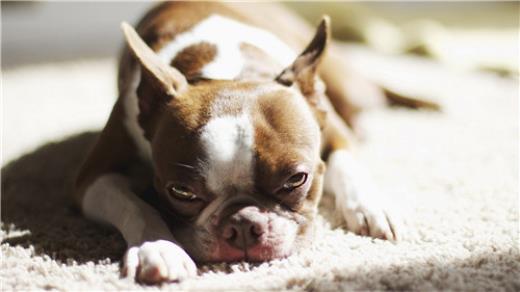 致未来自己的唯美句子10字