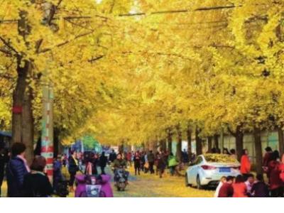 唯美的句子摘抄大全