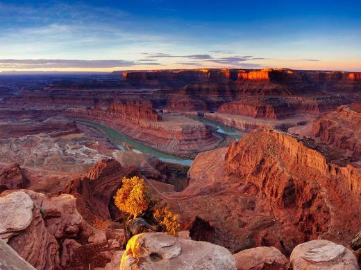 唯美的句子摘抄大全