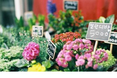 唯美的句子摘抄大全