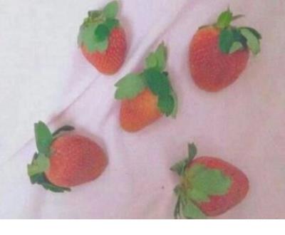 暗示自己单身的句子