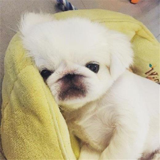 生活感悟的简短句子