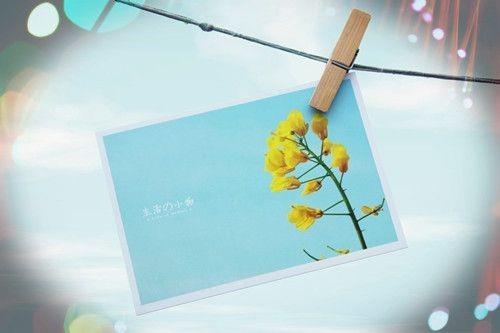 形容单身潇洒的语句