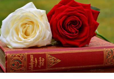 男孩超拽个性签名