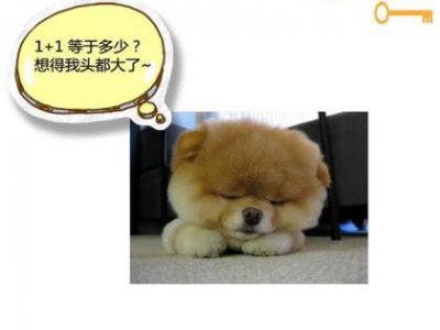 ​致自己生日唯美的句子(愿每天的太阳带给我光明的同时…)