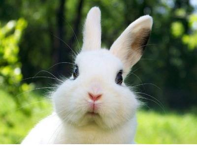 电影里感人的唯美句子短的