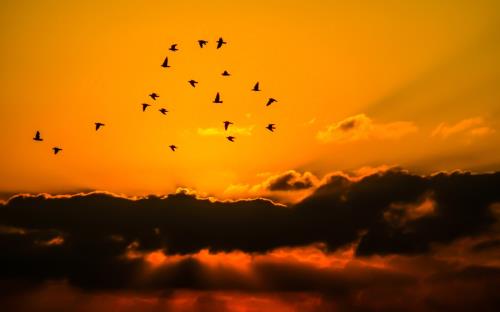 积极唯美的句子