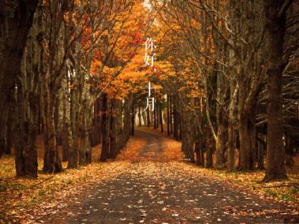 描写女人坚强独立的句子
