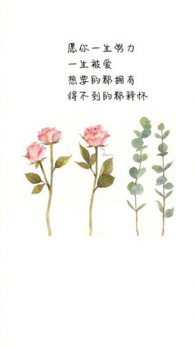 孩子愿你此生唯美句子