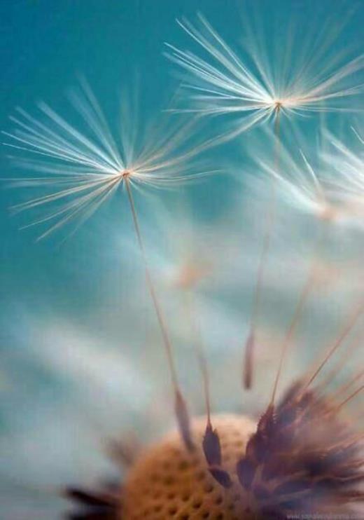 关于描写夏天的句子