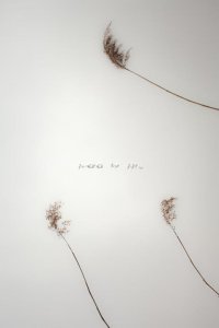 ​老朋友经常不见但想念的句子[40句]