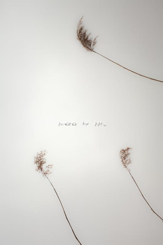 老朋友经常不见但想念的句子