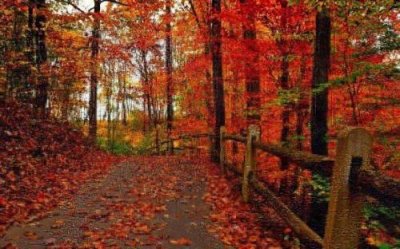 ​不懂得感恩的句子