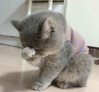 ​微笑的短句子个性签名