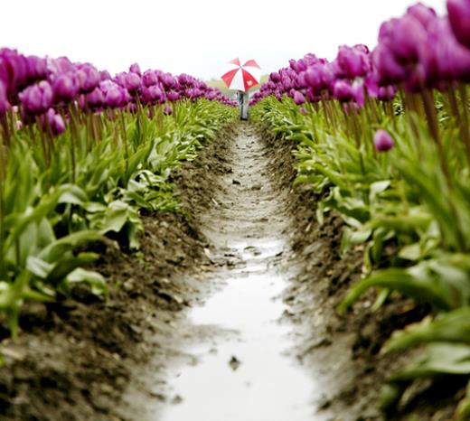 命运好词好句好段摘抄