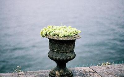 命运好词好句好段摘抄