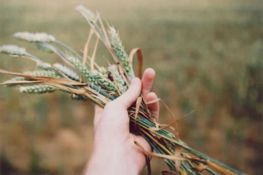 幸福的一家人精辟句子