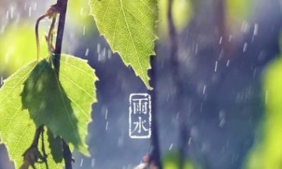 ​最佳女婿赞美荷花的句子