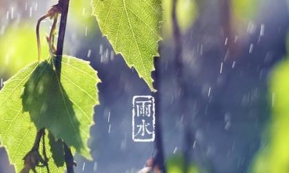 最佳女婿赞美荷花的句子