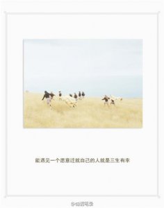 ​怀念亲人逝去的句子（描述刚逝去亲人的句子）