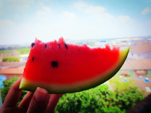 描写四季景色的句子50字