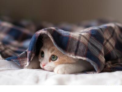 感谢客户信任的暖心句子