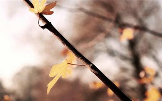 感谢客户信任的暖心句子