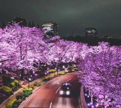 简短一句话心灵鸡汤