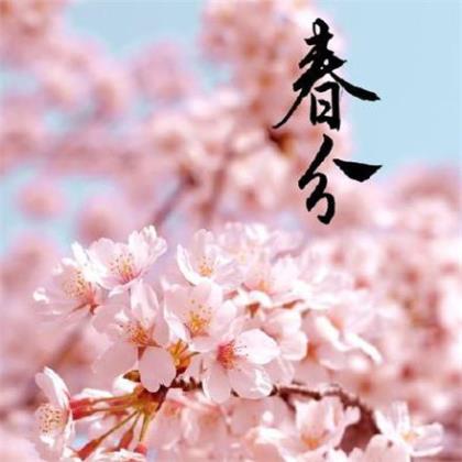 有关于青春的句子