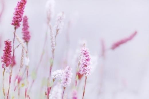 qq繁体字个性签名大全