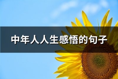 ​中年人人生感悟的句子(精选87句)