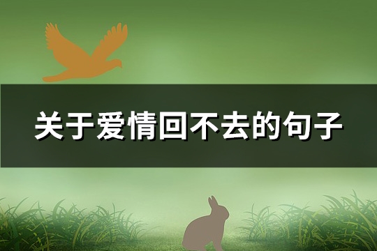 关于爱情回不去的句子(必备147句)