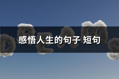 ​感悟人生的句子 短句(必备125句)