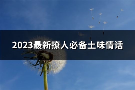 2023最新撩人必备土味情话(必备123句)