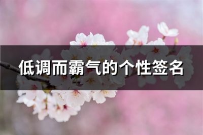 ​低调而霸气的个性签名(精选118句)