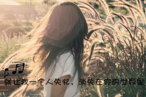 现实生活感悟句子 感悟的句子