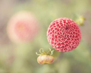 ​论语中宽容的句子