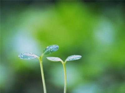 ​形容落日晚霞美的句子[60句] (形容晚霞很美的一句话)