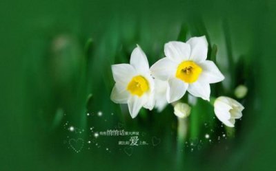 ​描写普通男人外貌的句子[30句] (男人的外貌描写句子)