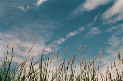 ​描写冬天寒冷刺骨句子（描写寒冷的冬天的段落）