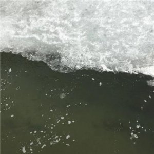 ​辩论题目经典题目（辩论赛四辩经典语句）