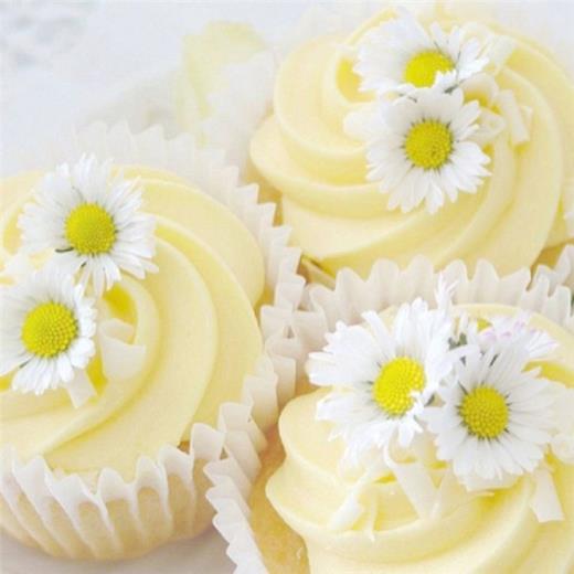 有关记忆的优美句子