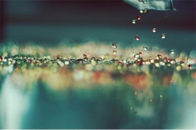 ​赞美花草上露珠的句子 关于露珠的优美句子