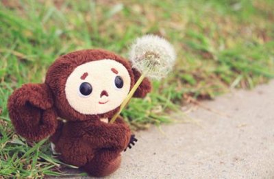 ​励志句子唯美简短摘抄 简短优美句子摘抄大全