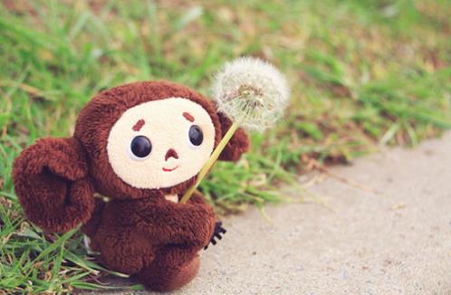 励志句子唯美简短摘抄 简短优美句子摘抄大全