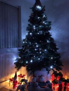 ​描写校园清晨的优美句子（描写清晨的校园的句子）